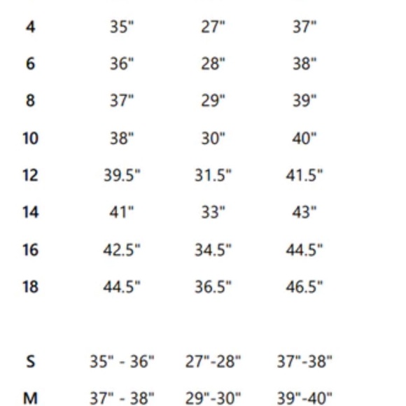 R&M Richards plus size floor length evening gown - Picture 16 of 16